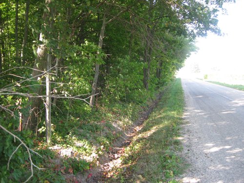 Property photo 8 - 40 Acres Offered in 3 Tracts
